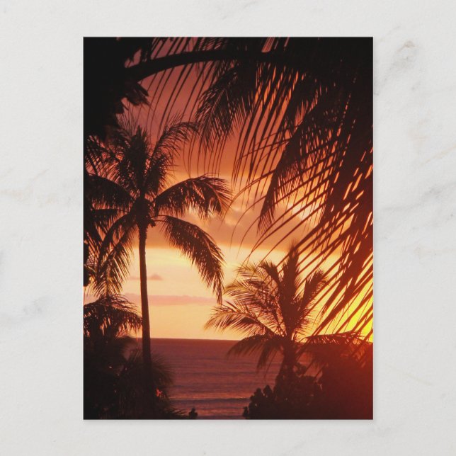 Postal Atardecer de palmera en Hawái (Anverso)