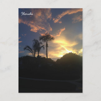 Postal Atardecer del árbol de palmas