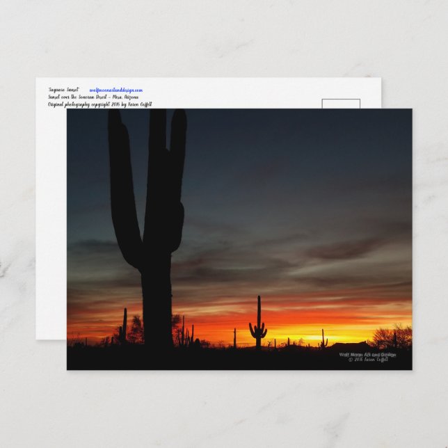 Postal Atardecer del desierto de Sonoran Arizona con cact (Anverso / Reverso)