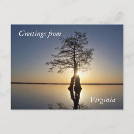 Postal Atardecer detrás de un árbol