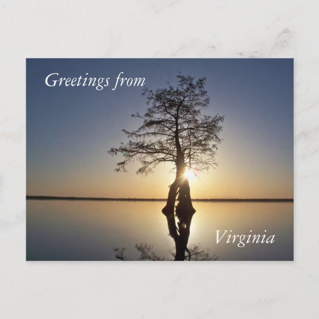 Postal Atardecer detrás de un árbol