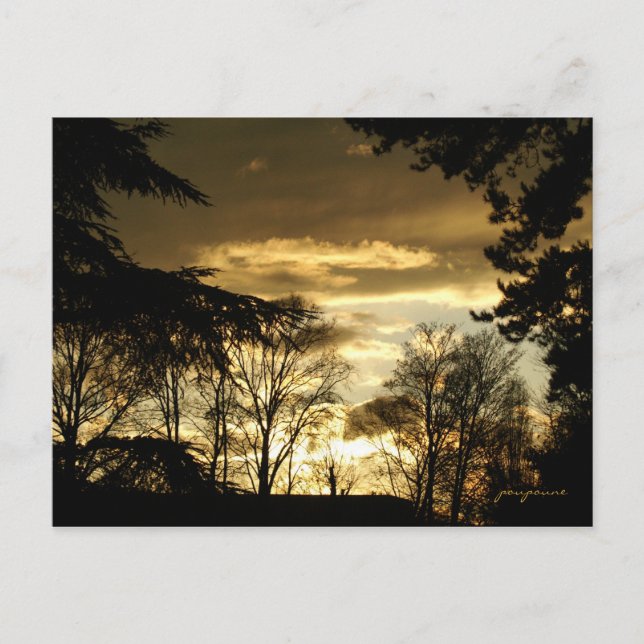 Postal atardecer dorado (Anverso)