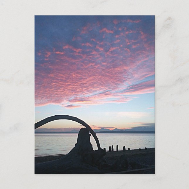 Postal Atardecer en Arco de Madera Flotante (Anverso)