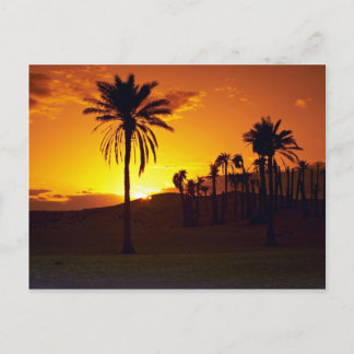 Postal Atardecer en el desierto, el Sahara, el desierto d