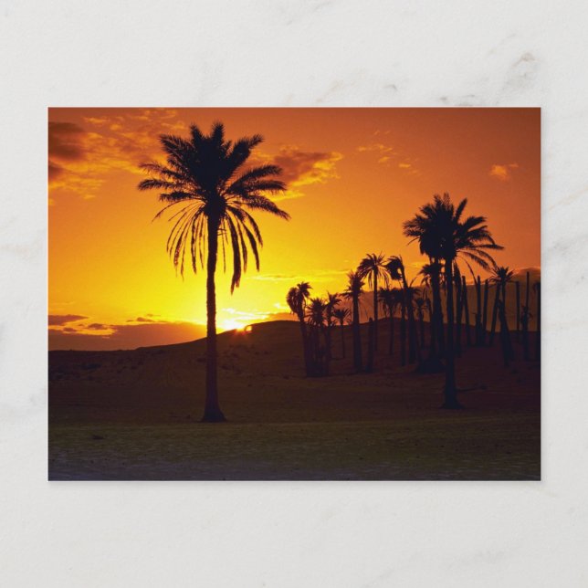 Postal Atardecer en el desierto, el Sahara, el desierto d (Anverso)