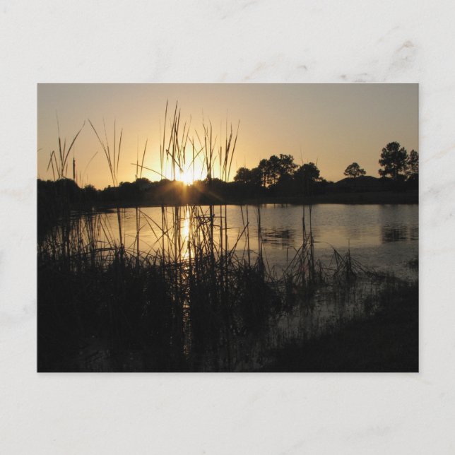 Postal Atardecer en el estanque (Anverso)