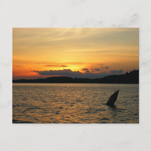 Postal Atardecer en el lago (Anverso)