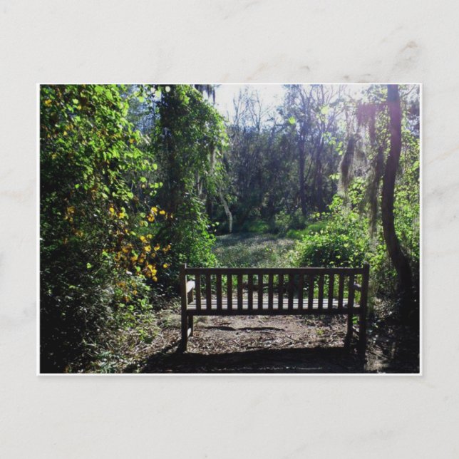 Postal Atardecer en el parque pantano de Phinizy Augusta, (Anverso)