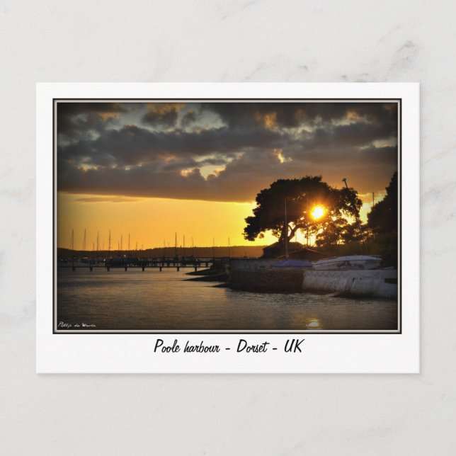 Postal Atardecer en el puerto de Poole - Dorset - Reino U (Anverso)