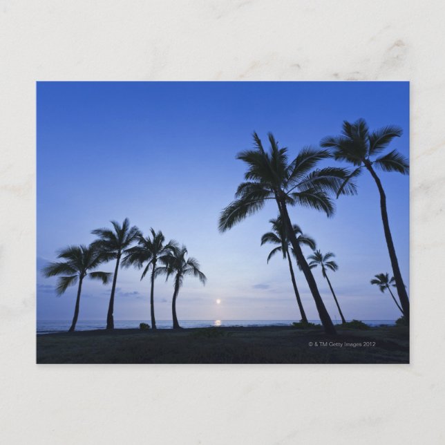 Postal Atardecer en la bahía de Kahaluu en Kona, Hawaii (Anverso)