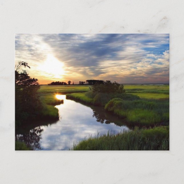 Postal Atardecer en Marsh Bombay Hook Deleware (Anverso)