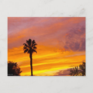 Postal Atardecer en Palm Springs