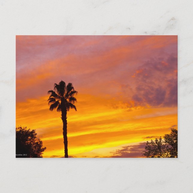 Postal Atardecer en Palm Springs (Anverso)
