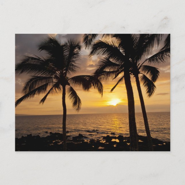 Postal Atardecer en palmera (Anverso)