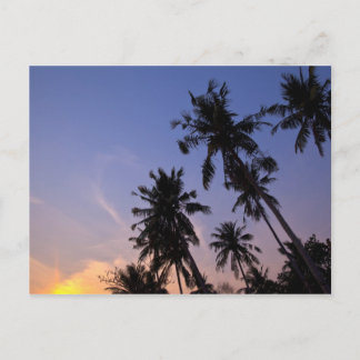 Postal Atardecer en palmeras tailandesas de Koh Chang