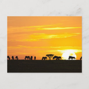 Postal Atardecer en Serengeti