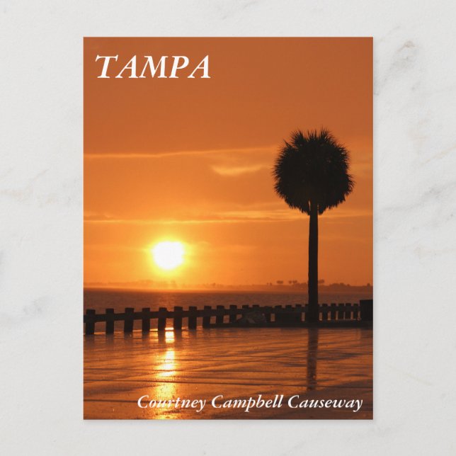 Postal Atardecer en Tampa Courtney Campbell Causeway (Anverso)