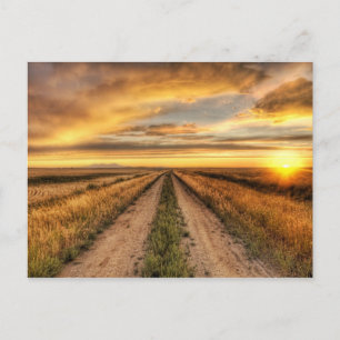 Postal Atardecer en un camino de campo