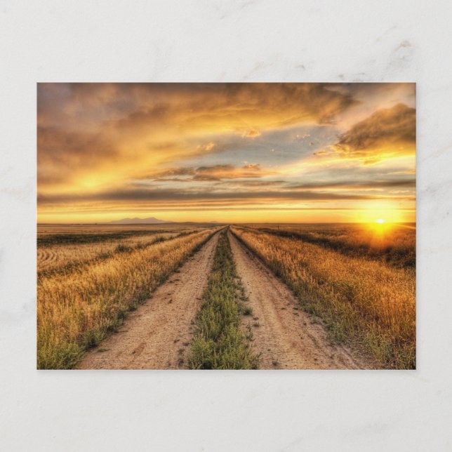 Postal Atardecer en un camino de campo (Anverso)