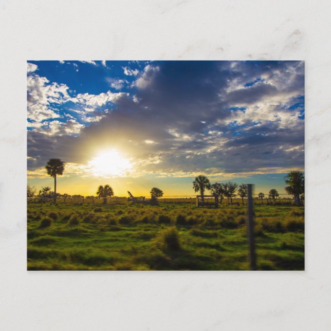 Postal Atardecer en un rancho de Florida (Anverso)