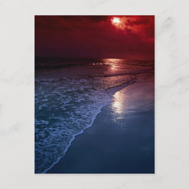 Postal Atardecer, océano, arena, mar, Florida, EE.UU. (Anverso)