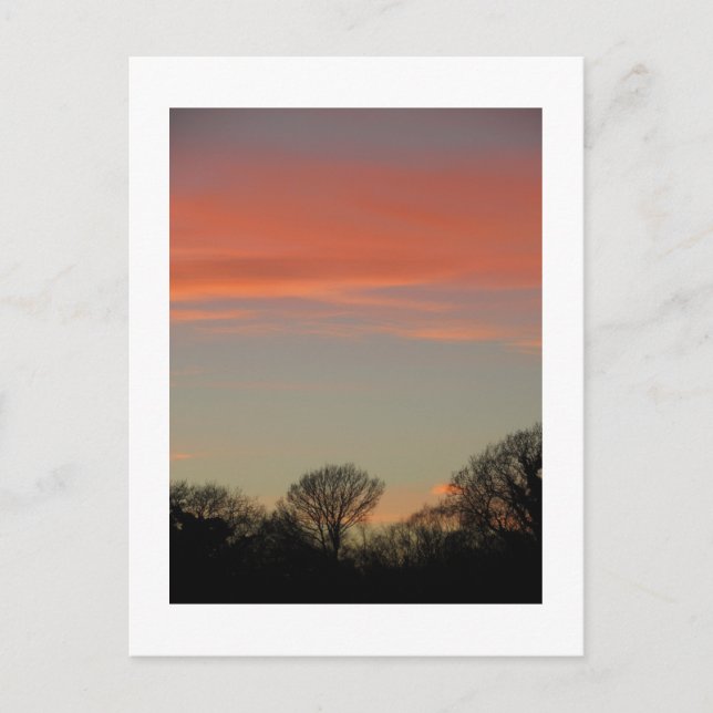 Postal Atardecer rural (invierno): Cheshire, Inglaterra (Anverso)