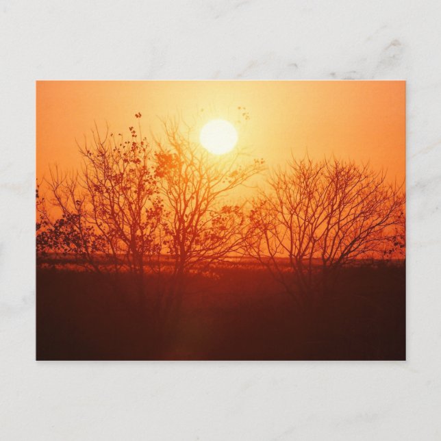 Postal Atardecer sobre el Bayou (Anverso)