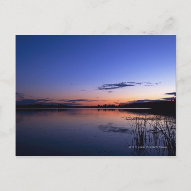 Postal Atardecer Sobre El Lago Wabamun Con Hierba (Anverso)