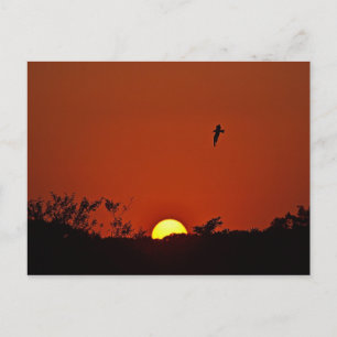 Postal Atardecer Sobre El Marsh