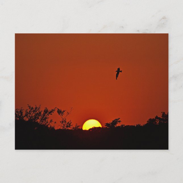 Postal Atardecer Sobre El Marsh (Anverso)