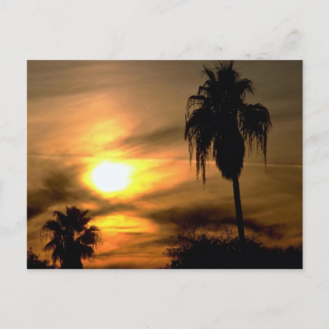 Postal Atardecer subtropical (Anverso)