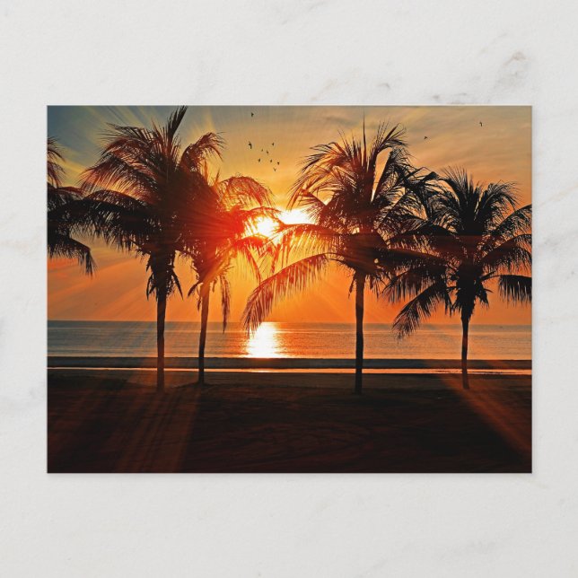 Postal Atardecer Tropical (Anverso)
