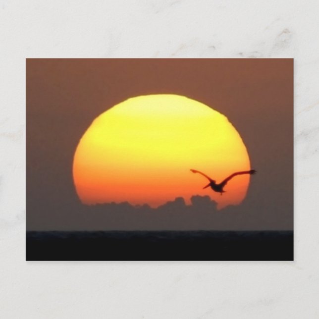 Postal Atardecer y pelícano (Anverso)