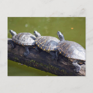 Postal Atasco de tráfico