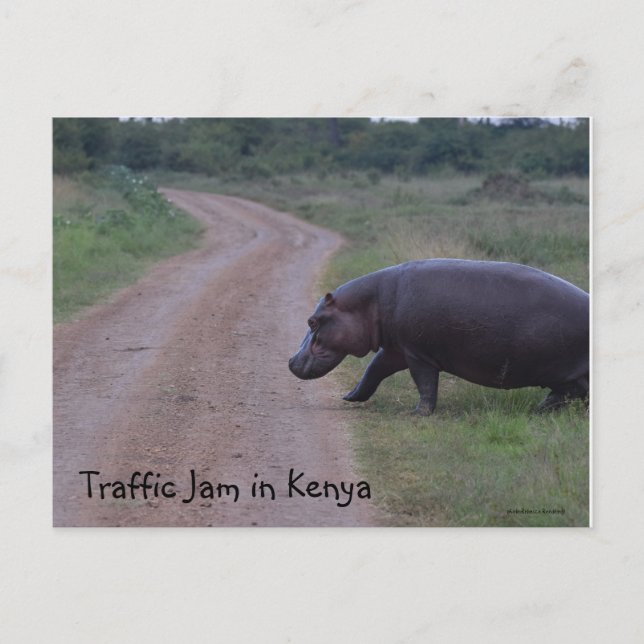 Postal Atasco de tráfico en África de Kenia Hippo (Anverso)
