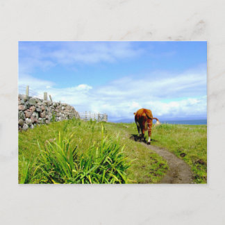 Postal Atasco de tráfico en la isla de Iona