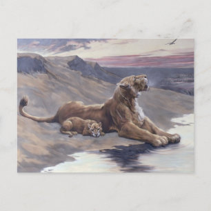 Postal Atención materna