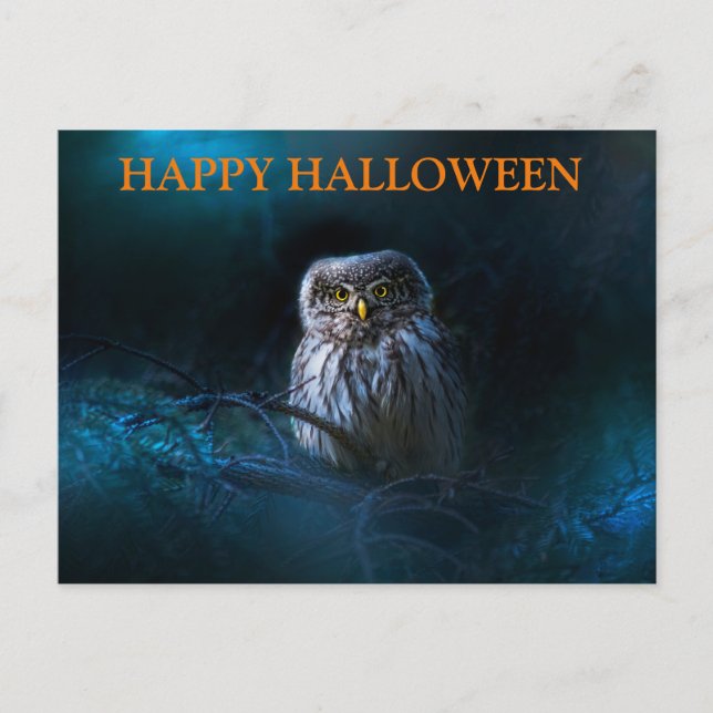 Postal Aterradora noche de Halloween con lechuzas (Anverso)