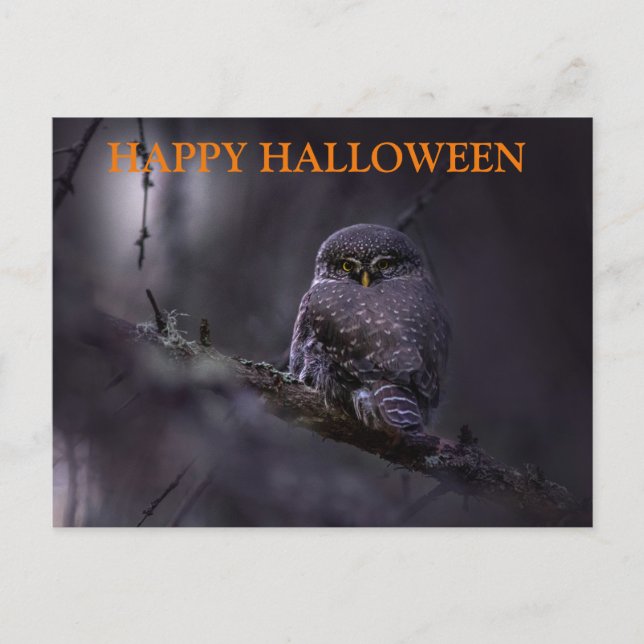 Postal Aterradora noche de Halloween con lechuzas (Anverso)