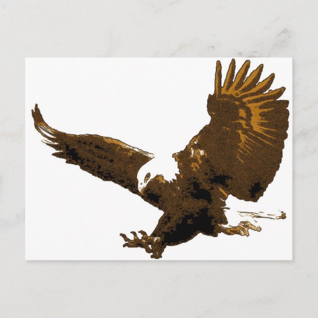 Postal Aterrizaje de águilas calvas (Anverso)
