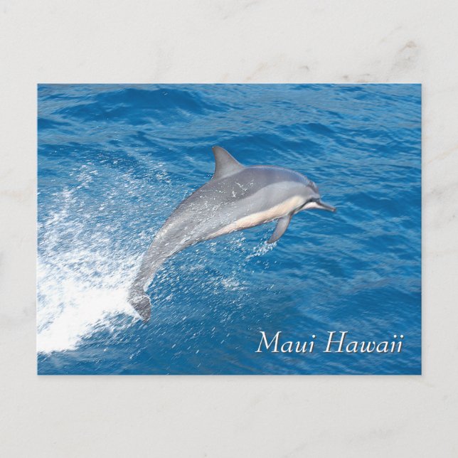 Postal Aterrizaje de concordancia en Seattle (Anverso)