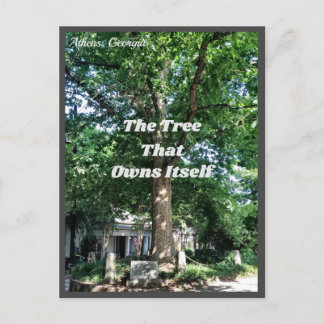 Postal Athens Georgia USA Postcard GA