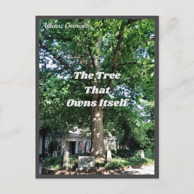 Postal Athens Georgia USA Postcard GA (Anverso)