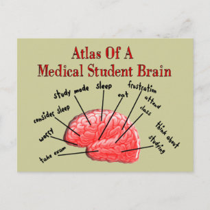 Postal Atlas de Cerebro Estudiantil Médico
