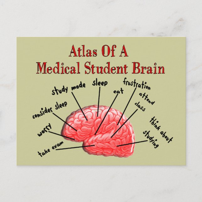 Postal Atlas de Cerebro Estudiantil Médico (Anverso)