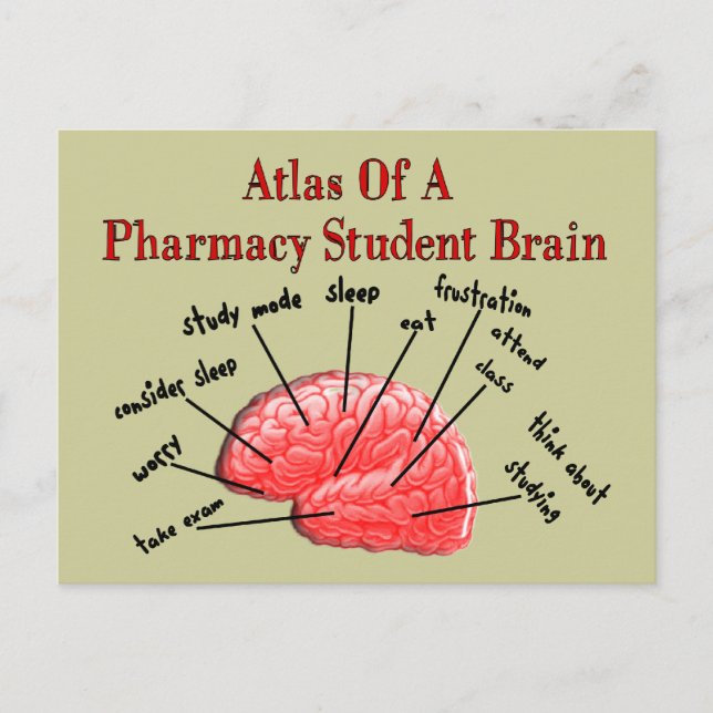 Postal Atlas de un cerebro de estudiante de farmacia (Anverso)