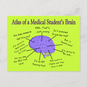 Postal Atlas del cerebro de un estudiante de medicina #2