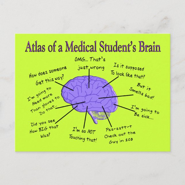 Postal Atlas del cerebro de un estudiante de medicina #2 (Anverso)