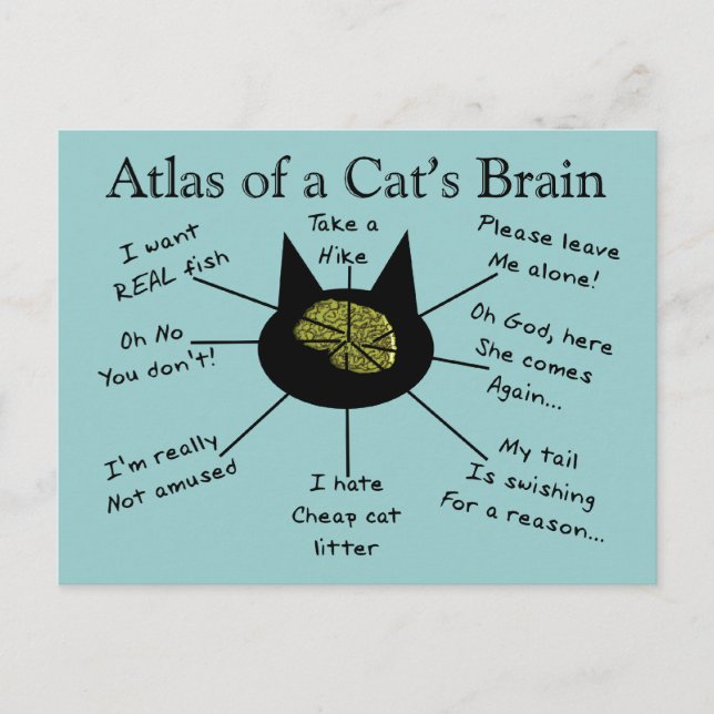 Postal Atlas del cerebro de un gato (Anverso)