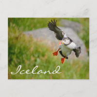 Atleta de aleta volando en Islandia